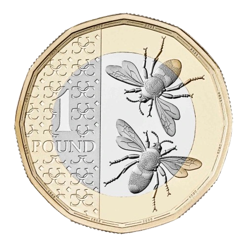 2024 1-pound British Bees Reverse